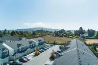 View 49