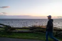 View 41