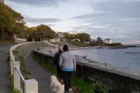 View 39