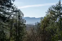 View 12