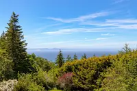 View 43