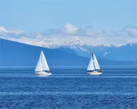 View 58