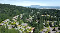 View 84
