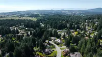 View 87