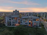 View 50