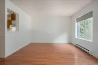 View 14