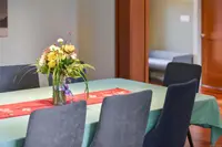 View 25