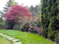 View 38
