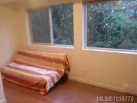 View 41