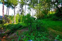 View 35