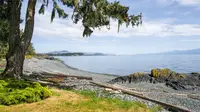 View 26