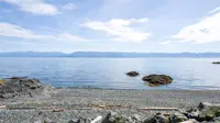 View 25