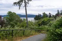 View 36