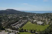 View 50