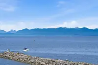 View 30