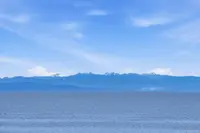 View 31