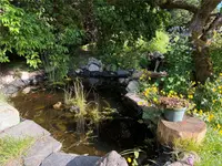View 81