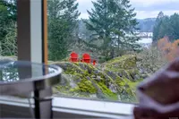 View 39