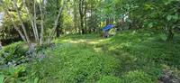 View 19