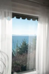 View 39