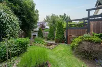 View 42