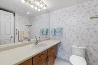 View 27