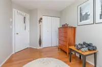 View 15
