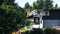 View 59