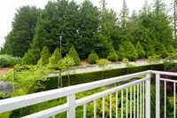 View 23
