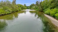 View 23