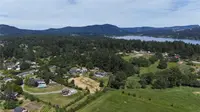 View 31