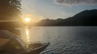 View 40