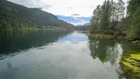 View 39
