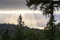 View 62
