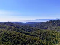 View 42