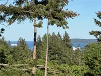 View 84