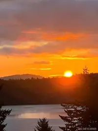 View 86