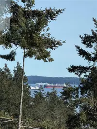 View 85