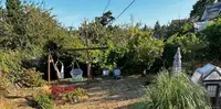 View 53