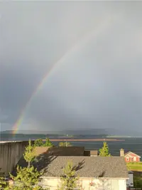 View 54