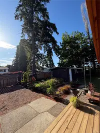 View 80