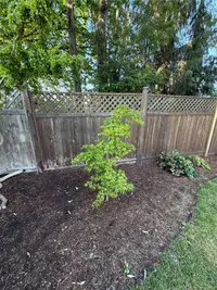 View 69