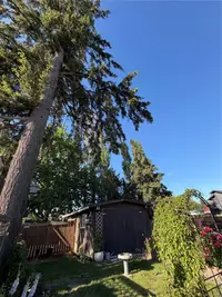 View 83
