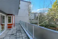 View 32