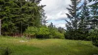 View 39