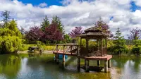 View 4