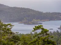 View 40