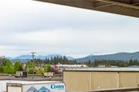 View 15