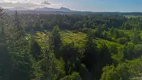 View 17