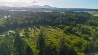 View 18